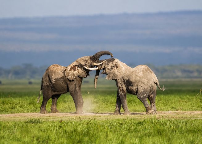5 NIGHTS & 6 DAYS MIGRATION -POPULAR 
