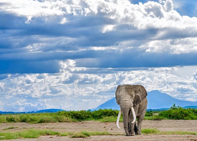 5 NIGHTS & 6 DAYS MIGRATION -POPULAR 