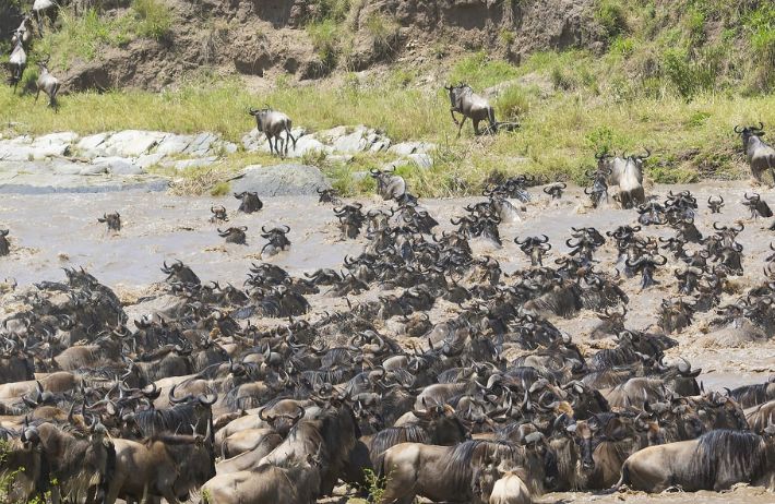 5 NIGHTS & 6 DAYS MIGRATION