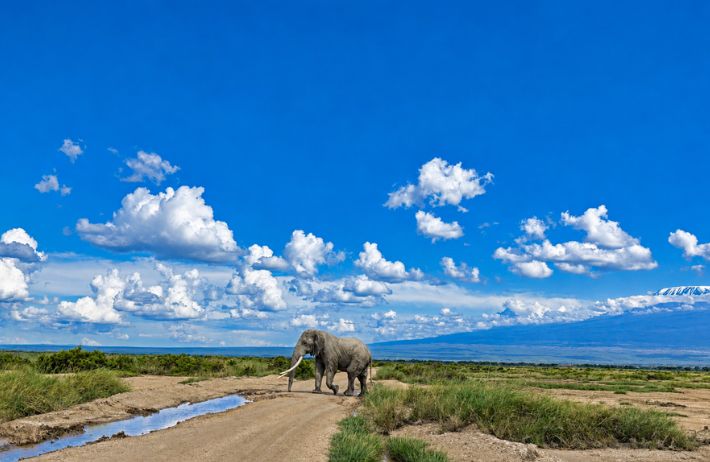 9 NIGHTS & 10 DAYS UNTAMED