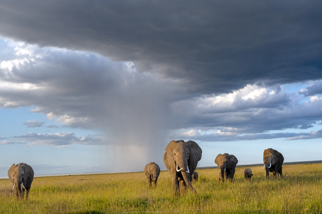 KENYA