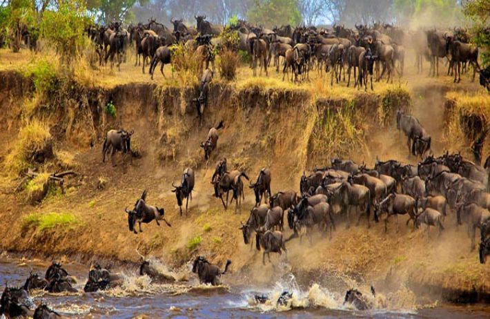 5 NIGHTS & 6 DAYS MIGRATION- POPULAR