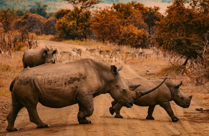 SOUTH AFRICA