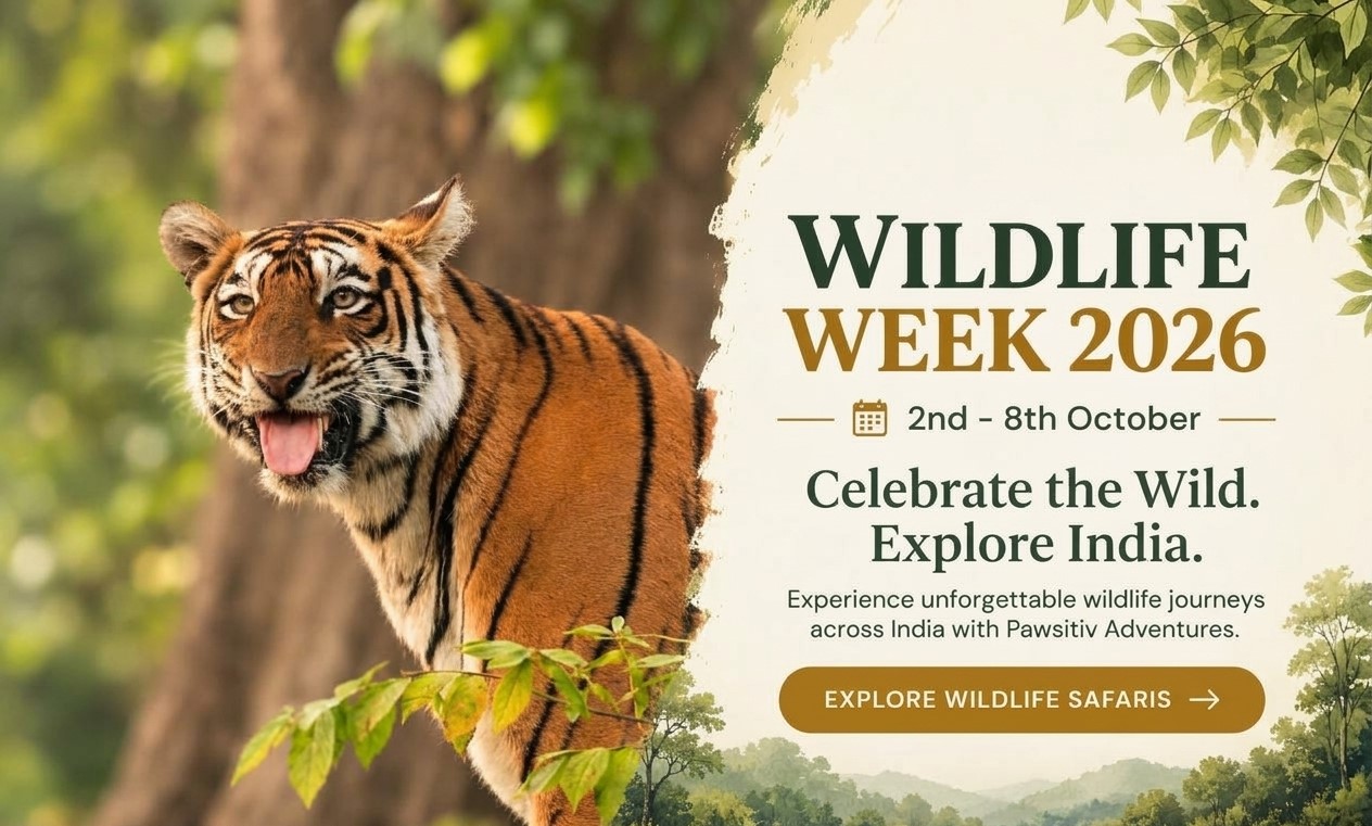 Wildlife Week 2026 Promo Banner